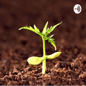 Grow In Grace Podcast