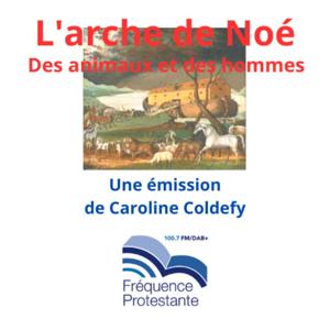 L'Arche de Noé