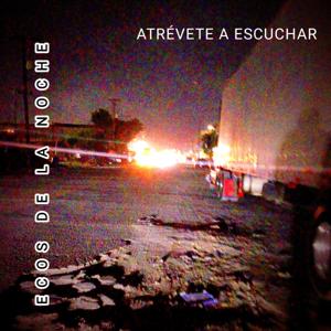 Ecos De La Noche