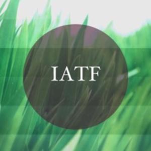 IGLLESIA APOSTOLICA TORRE FUERTE