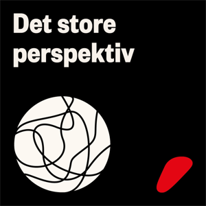 Det store perspektiv