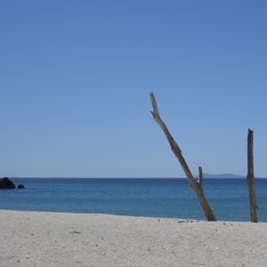 Reisefrequenzen