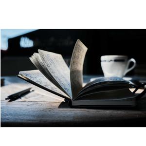 The Writer's Odyssey: Crafting Worlds with Words