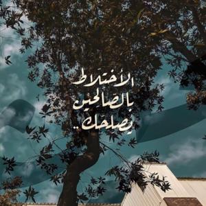 رحلة الريادة (طريق النجاح)