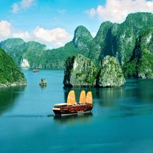 Learn Vietnamese