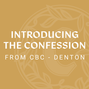 Introducing The Confession