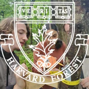 Schoolyard Scientists