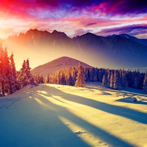 Awareness on Purpose - Logos Rising