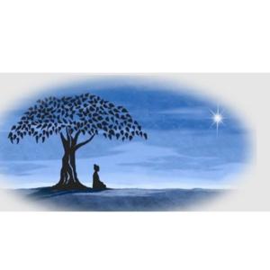 Life taught social lessons, in growth, denial, accepting and learning.