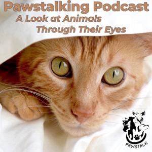 Pawstalking Podcast