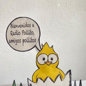 🐥 Radio Pollito 🐇