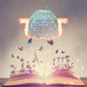 هدى القرآن