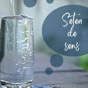 Setea de sens