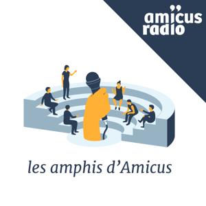 Les Amphis d'Amicus