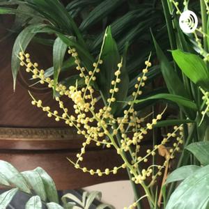 رنگینکمان قصه