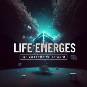 Life Emerges:The Anatomy Of Bitcoin