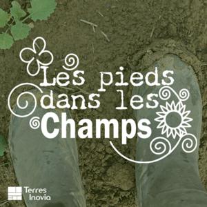 Les pieds dans les champs