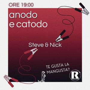 ANODO E CATODO