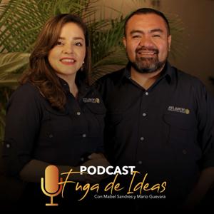 Fuga de Ideas