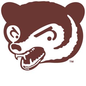Brotherly Cubs Podcast: A Chicago Cubs Discussion by Two Brothers