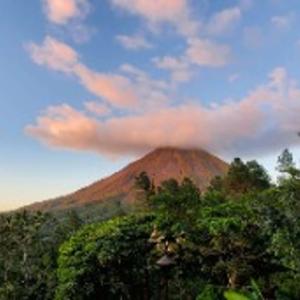 The Wicked Wisdom Podcast