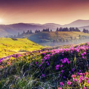 ====== "जीवनका शब्दहरू", " राम्रो समाचार", "सुसमाचार गीत" - नेपालीमा बोलिने प्रमुख भाषाहरू / "Words of Life", "Good News", "Gospel Song" - Major Languages Spoken in Nepali ======