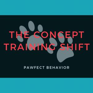 The Concept Training Shift