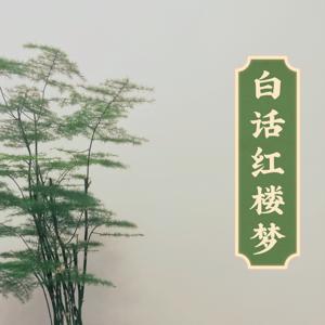睡前故事|白话红楼