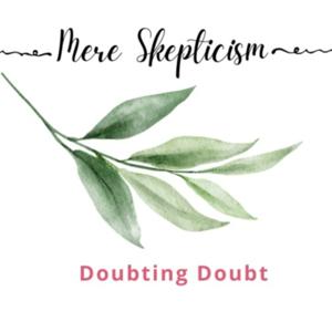 Mere Skepticism