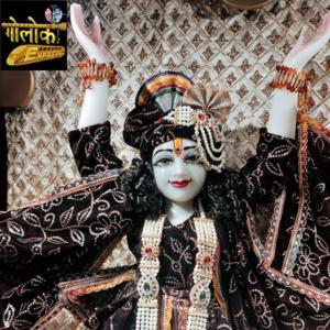 ఉదయం సత్సంగ్ ప్పోడ్ కాస్ట్ - గొలోక్  ఎక్స్ప్రెస్ II   Morning Satsang Podcast- Team Golok Express