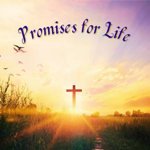 Promises for Life