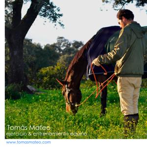 Escuela de Equitación online