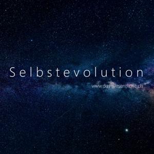 Selbstevolution