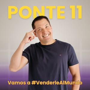 Ponte 11