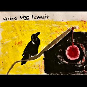 Düşünce Akışım ve Kuşlar