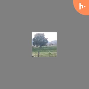 GvinAnimonia Rice’s First Podcast