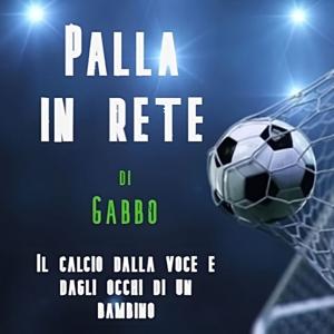 Palla in rete di Gabbo