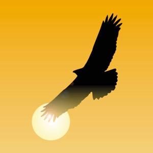 Spirit of the Inca