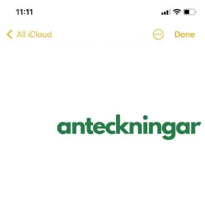 Anteckningar