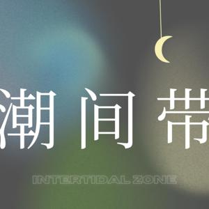 潮间带 Intertidal Zone