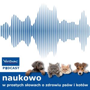 Naukowo, w prostych słowach