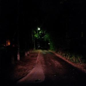 Кисть перо и отрава