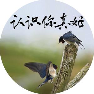 认识你真好播客