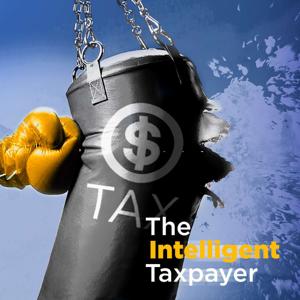 The Intelligent Taxpayer