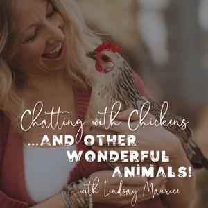 Chatting with Chickens and Other Wonderful Animals