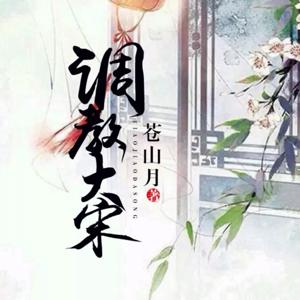 调教大宋