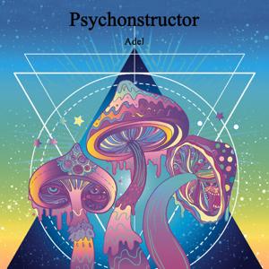 Psychonstructor: A Concise and Practical Guide to Understanding and Experiencing Psychedelics By ADEL