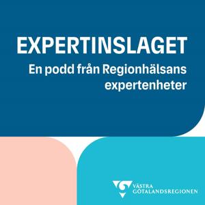 Expertinslaget