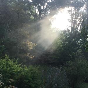 Be Your Own Healer with Jeannette Murray