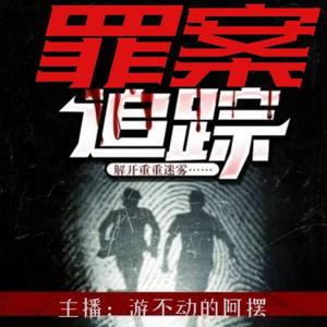 罪案追踪-第一季|盘点各种重案、大案、奇案